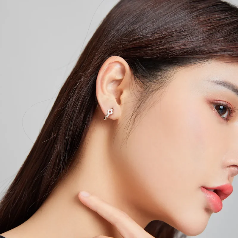 (slika za) Srebrni sijoči diamantni obročasti uhani v slogu Pandora - SCE1048 - Ogled 7