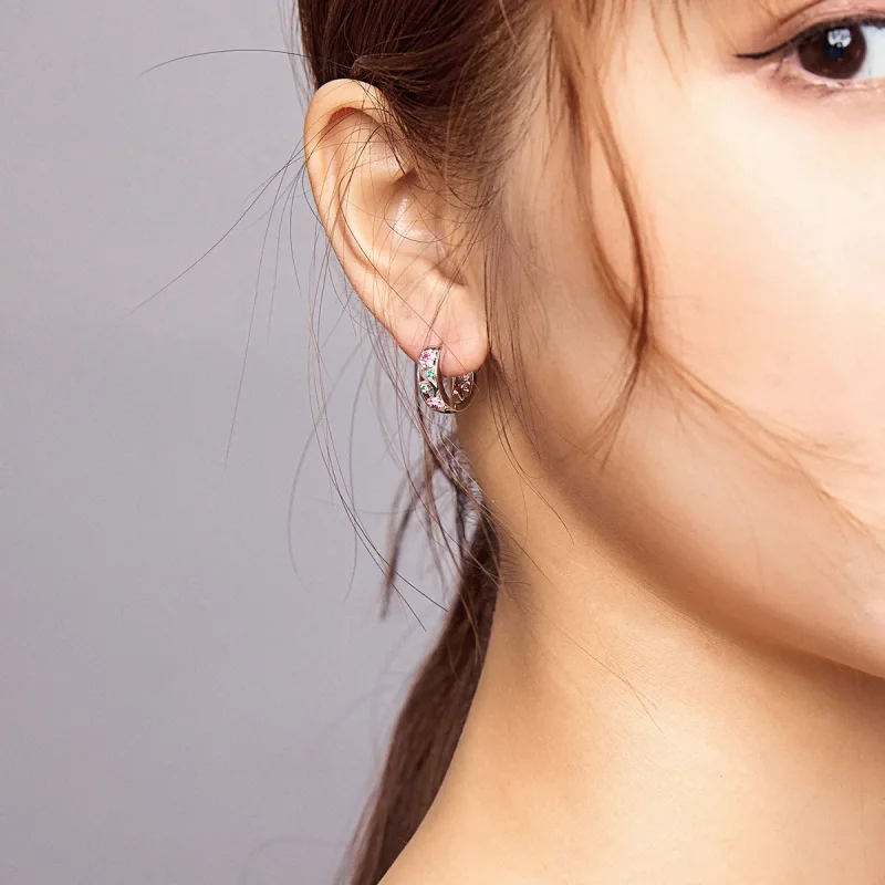 (slika za) Srebrni skrivni vrtni uhani v slogu Pandora - BSE403 - Ogled 7