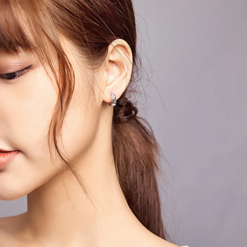 (slika za) Srebrni skrivni vrtni uhani v slogu Pandora - BSE403 - Ogled 8