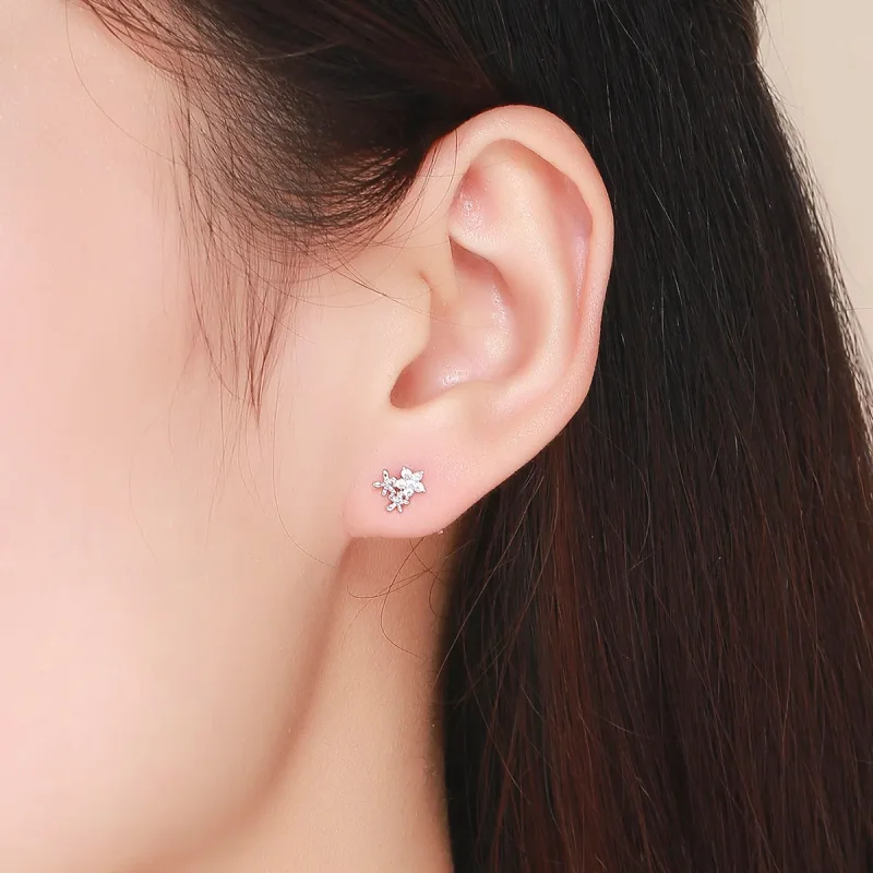 (slika za) Srebrni uhani iz gipsofile v stilu Pandora - BSE030 - Ogled 5