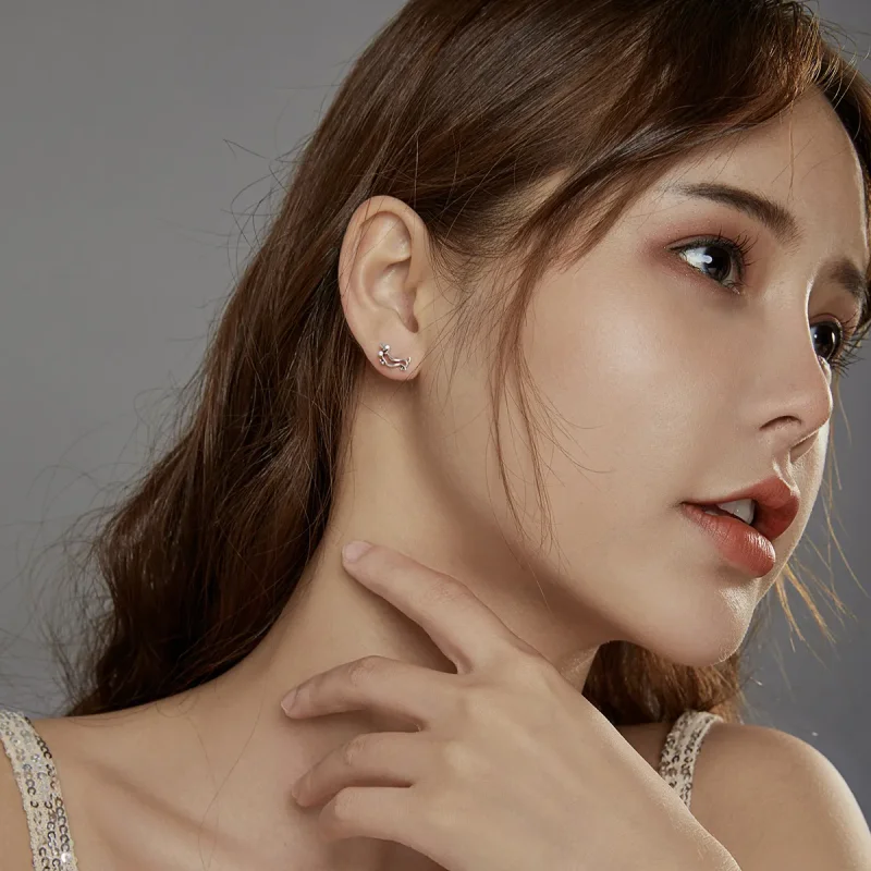 (slika za) Srebrni uhani jazbečar v slogu Pandora - SCE952 - Ogled 6