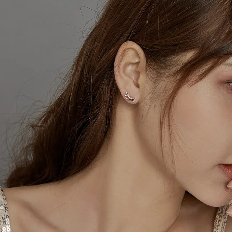 (slika za) Srebrni uhani jazbečar v slogu Pandora - SCE952 - Ogled 8