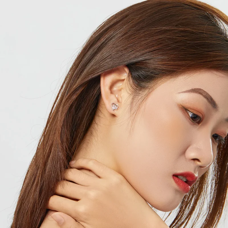 (slika za) Srebrni uhani s pasjo šapo v slogu Pandora - SCE654-Pk - Ogled 6