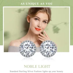 Srebrni uhani s plemenito svetlobo v slogu Pandora - SCE358