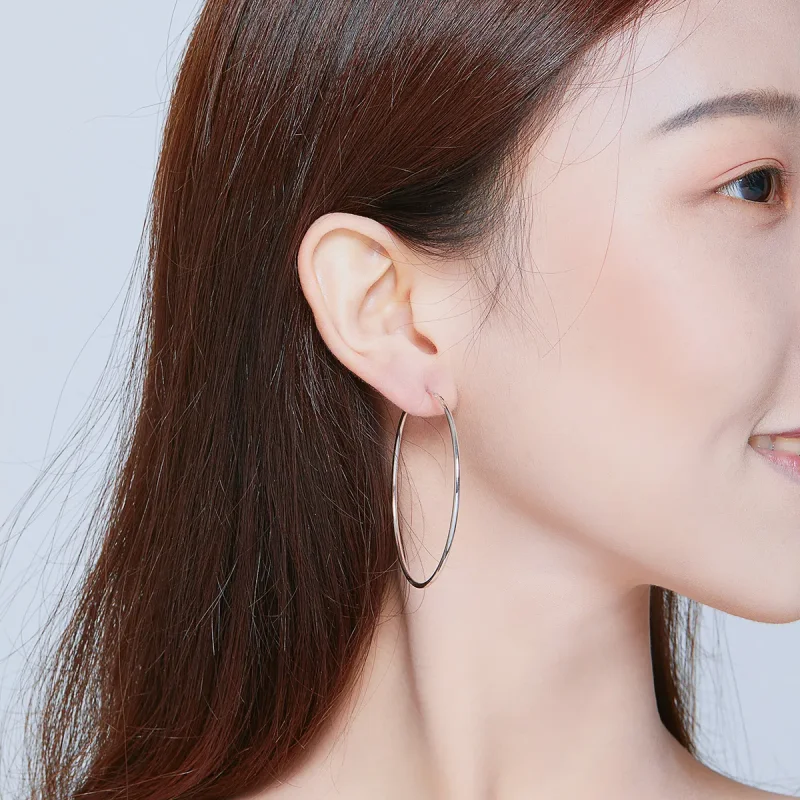 (slika za) Srebrni uhani s preprostimi linijami v slogu Pandora - SCE711 - Ogled 6