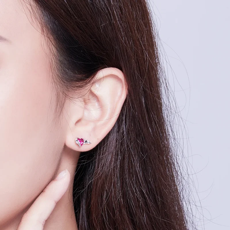 (slika za) Srebrni uhani s srcem Guardian Style Pandora - SCE690 - Ogled 6