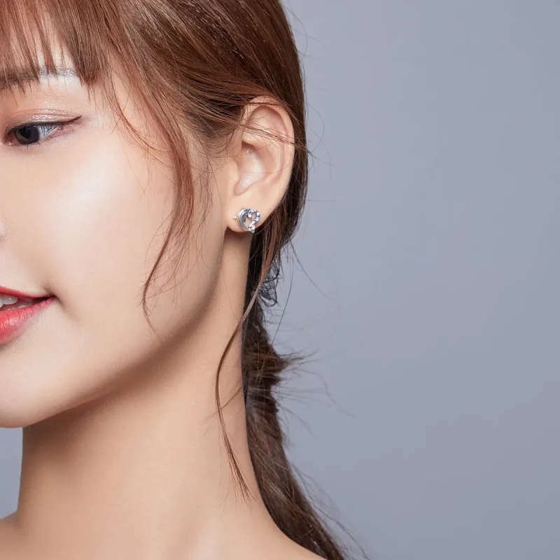 (slika za) Srebrni uhani z žepni v stilu Pandora Dolphin Elves - SCE930 - Ogled 6