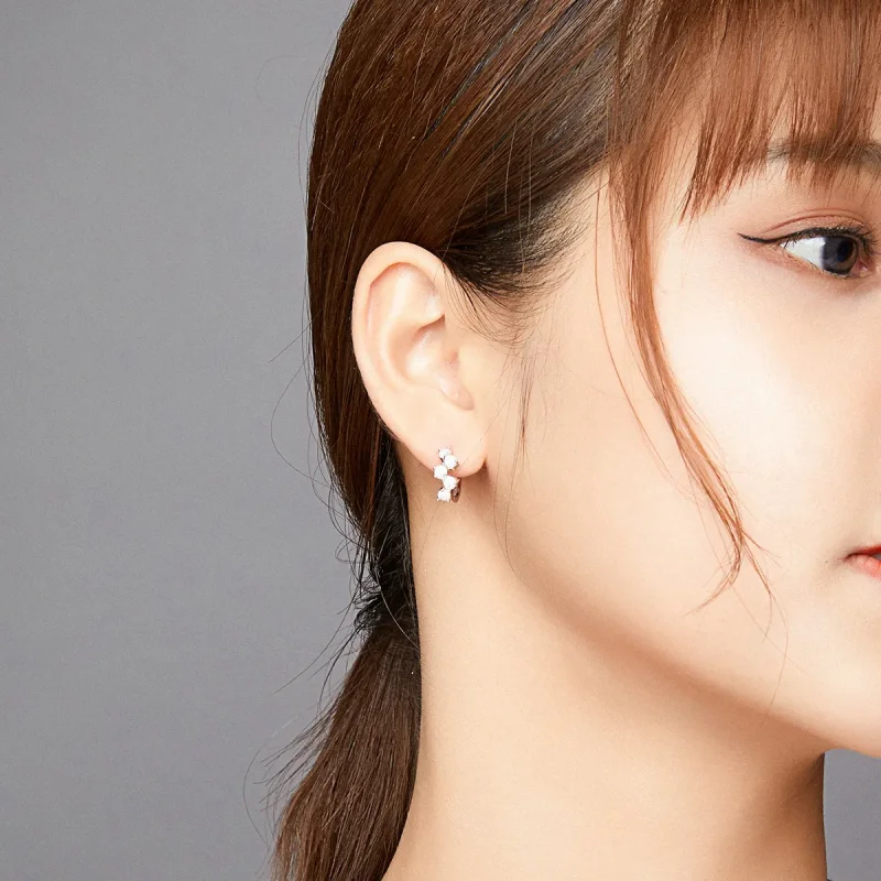 (slika za) Srebrni uhani z mehurčki v slogu Pandora - SCE941 - Ogled 5