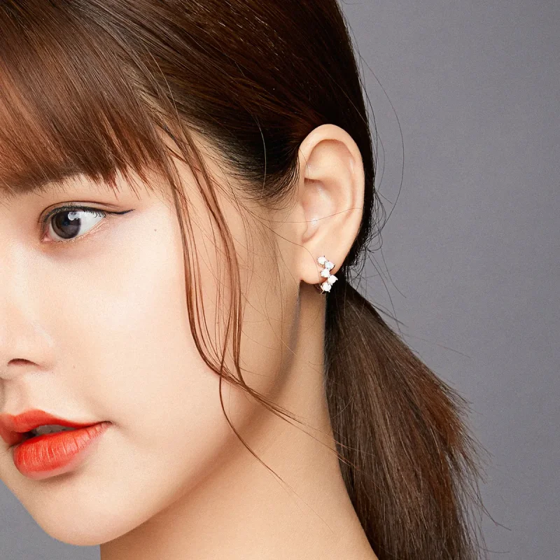 (slika za) Srebrni uhani z mehurčki v slogu Pandora - SCE941 - Ogled 6