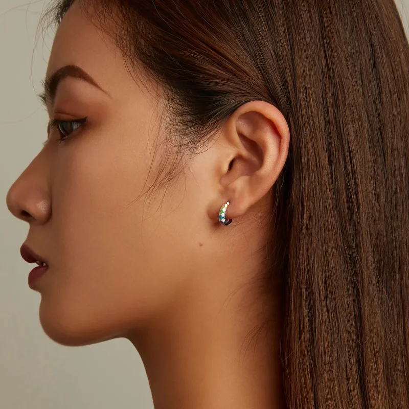 (slika za) Obročasti uhani v slogu Pandora Rainbow Checkerboard - SCE1351 - Ogled 11