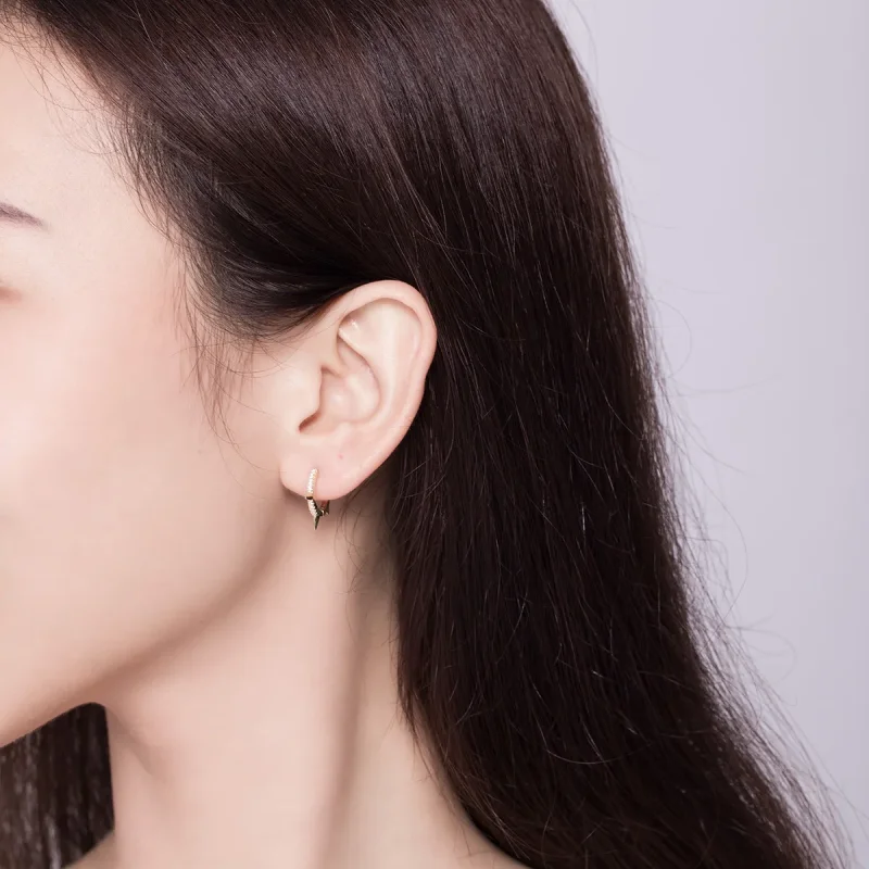 (slika za) Obročasti uhani v slogu Pandora z nepravilno geometrijo - BSE168 - Ogled 7