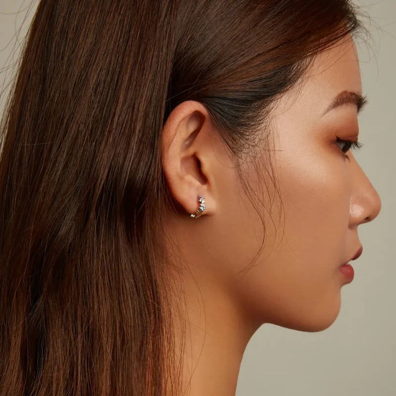 (slika za) Pisani uhani s kremplji v stilu Pandora - BSE580 - Ogled 8