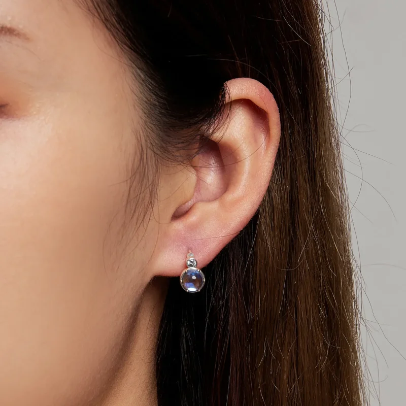 (slika za) Preprosti simfonični obročasti uhani v slogu Pandora - SCE1411 - Ogled 6