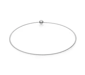 (slika za) Srebrna ogrlica PANDORA ESSENCE - 397296