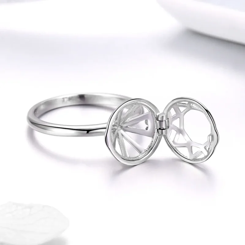 (slika za) Srebrni prstan iz pričevanja ljubezni v slogu Pandora - SCR492 - Ogled 6
