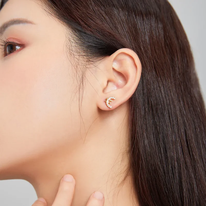 (slika za) Skrivni simbol sloga Pandora - uhani s čepki - SCE1074 - Ogled 4