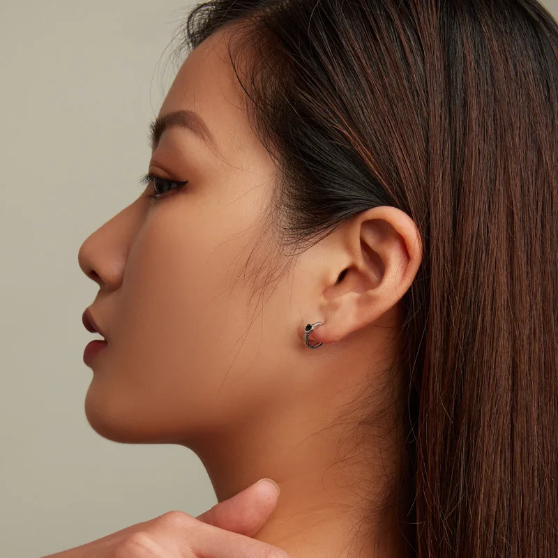 (slika za) Vintage uhani s črnim cirkonom v stilu Pandora - SCE1520 - Ogled 7